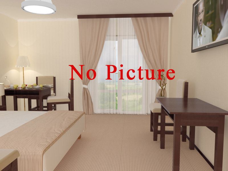 Стандарт двухместный  в Гостинице Spa Hotel Istochnik
